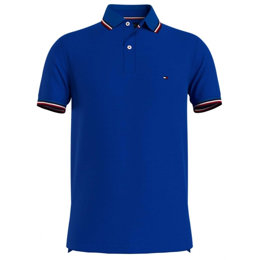 TOMMY HILFIGER Polos de chico DM0DM12963 AZULCLARO