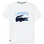 LACOSTE Camisetas de chico...