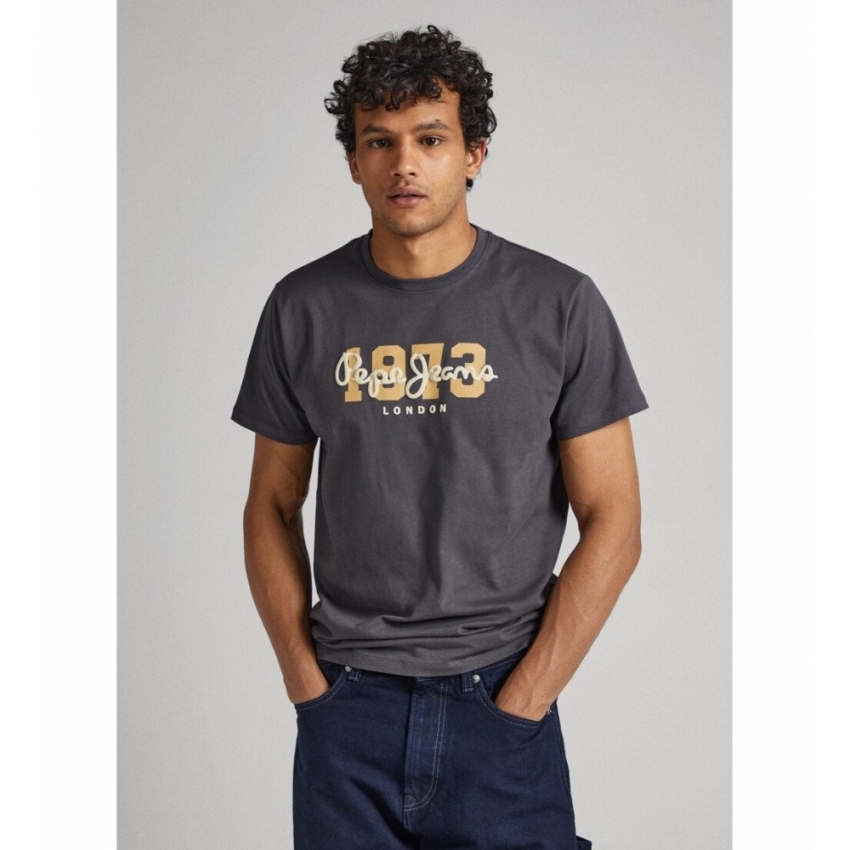 Pepe Jeans Camisetas de chico PM508953 GRIS