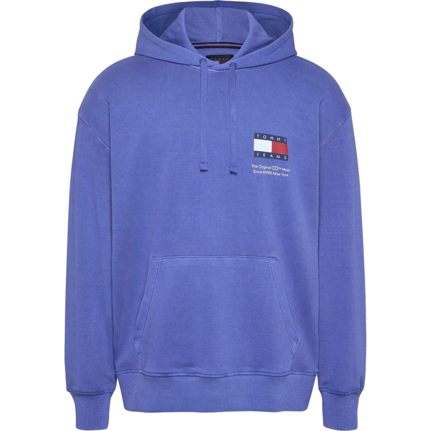 TOMMY HILFIGER Sudaderas de chico DM0DM20500 AZUL