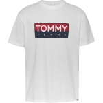 TOMMY HILFIGER Camisetas de...