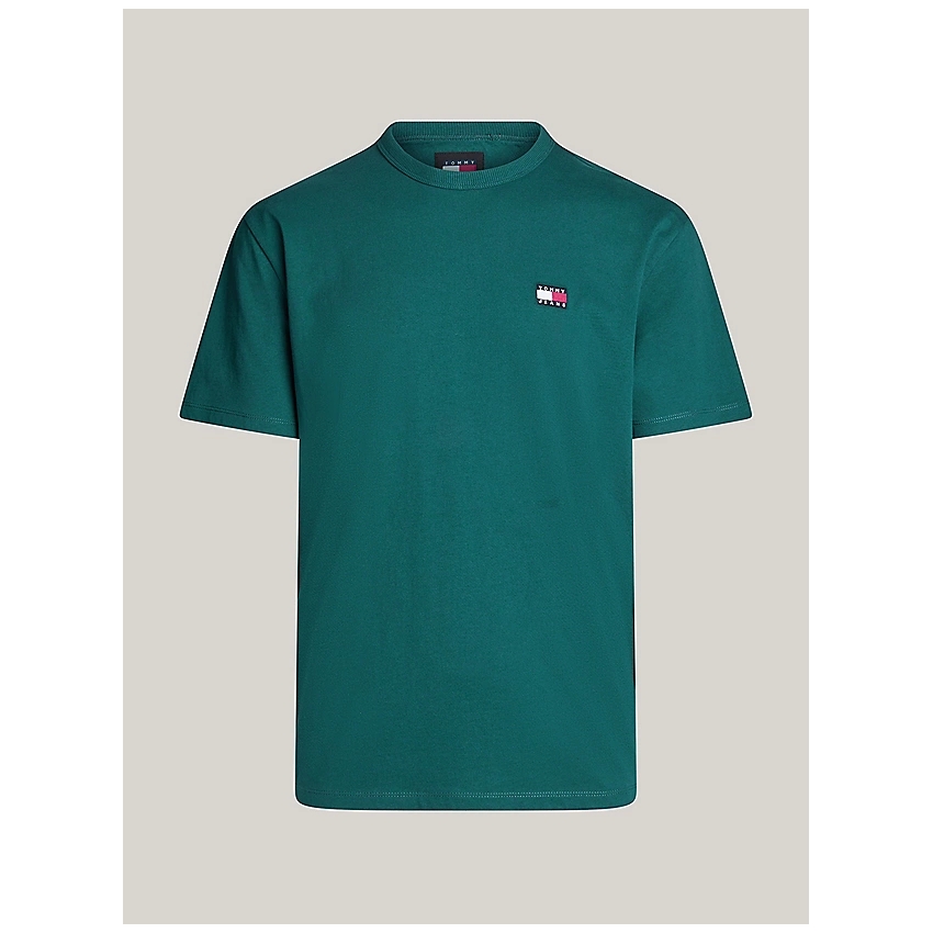 Camisetas de chico TOMMY HILFIGER DM0DM17995-VERDE VERDE